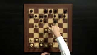 Magnus Carlsen Chess Training on Play Magnus App How to Play the Opening [upl. by Enaz]