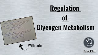 Regulation of Glycogen Metabolism  Glycogen metabolism  Carbohydrate metabolism  Biochemistry [upl. by Sailesh]