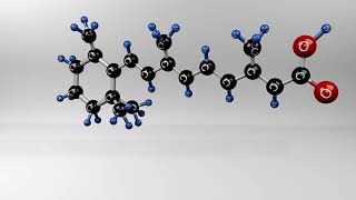 Primary amp Secondary Metabolites in Plant biology [upl. by Ised527]