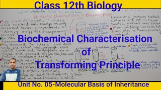 Biochemical Characterisation of Transforming Principle Class 12th Biologydrnyr755 [upl. by Pascha]