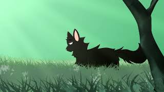 Dizzy On The Comedown WIP Hollyleaf amp Willowshine [upl. by Ymerej]