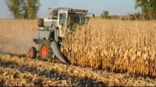 Gleaner F2 Combining Corn Fall 2011 [upl. by Coplin]