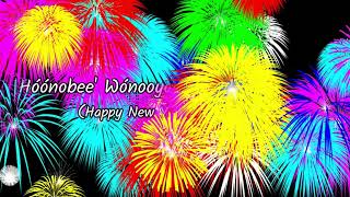 Video  Happy New Year with Fireworks [upl. by Wilkie]