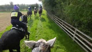 Fox Hunter at The Cottesmore 2024 [upl. by Sufur804]