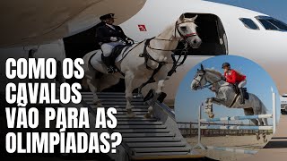 Como os cavalos do Hipismo chega nas olimpíadas [upl. by Aiam724]