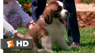 Beethoven 1992  Big Puppy Big Dog Scene 310  Movieclips [upl. by Grenville]