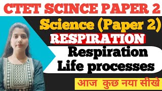 Respiration 🫁 Life processes Life of phases of respiration count respirations By neha saini [upl. by Adlihtam]