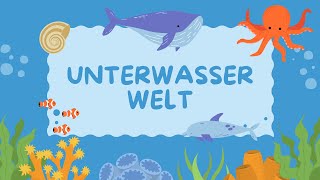 Die Unterwasserwelt  Lernlied für Kinder [upl. by Coussoule585]