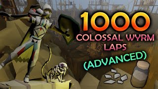 Loot From 1000 Colossal Wyrm Laps Advanced [upl. by Irreg979]