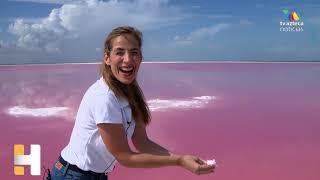 La belleza Las Coloradas Ahí la segunda salinera más importante del país Flamencos y aguas rosas [upl. by Myra]