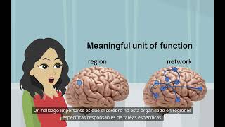 Investigación sobre el cerebro dividido Psicología básica localización de funciones en el cerebro [upl. by Anak743]