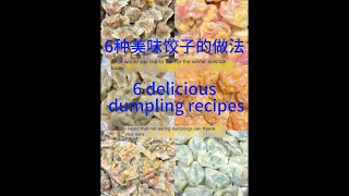 6种美味饺子的做法 6 delicious dumpling recipes [upl. by Ynehpets]