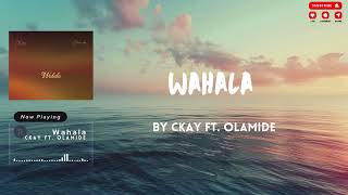 CKay ft Olamide  Wahala Lyrics [upl. by Stinson]