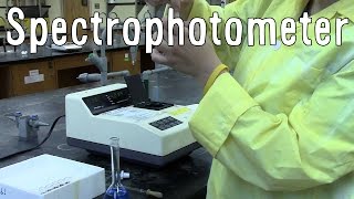 How to Use a Spectrophotometer [upl. by Weinreb]