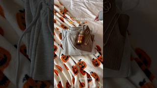 fall day  fall target shopping🍂🎃 fall fallvlog target fallshopping blowup preppy shorts [upl. by Greenfield80]