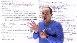 Acetylcholine acetylcholine receptors and medications overview [upl. by Erskine]