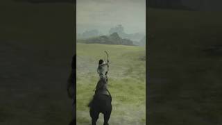 Shadow of The Colossus  Training With AGRO [upl. by Dannye]