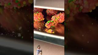 Freeze Drying Every Candy🍡🍭 candy trending subscribe tiktok funny [upl. by Yerffoeg458]