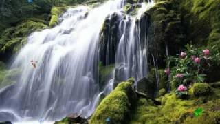 Exotic Waterfall Screensaver httpwwwscreensavergiftcom [upl. by Cobb]