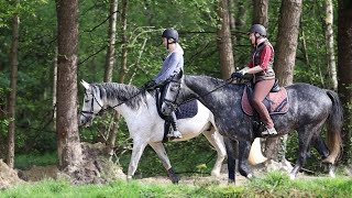 Reiten lernen Reitanfängerin Alex übt mit Wallach Freudentanz Haltung zu bewahren [upl. by Pessa326]