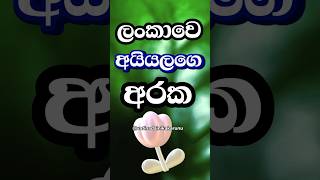 දන්නවද අයියලගෙ එකට වෙනදේ😑 shorts education [upl. by Aksehcnarf]