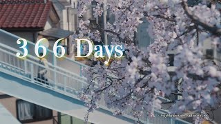 366 Days 【Fuji TV Official】 [upl. by Shear]