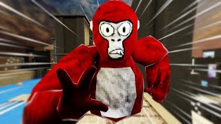 I am Gorilla Tag’s SPIDERMAN… [upl. by Aurelia956]