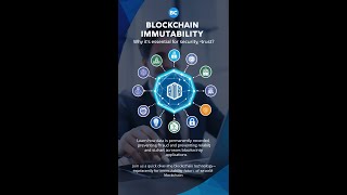 Blockchain EXPERT Reveals the Secret to Immutability [upl. by Ayanahs]