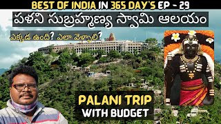 Palani subramanya swamy temple full tour in telugu  Palani temple information  Tamilnadu [upl. by Rainwater]