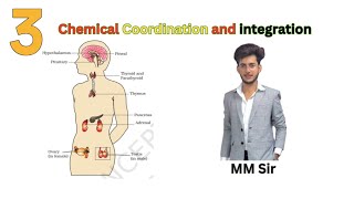 Chemical Coordination and Integration for Class 11th and NEET  Lecture 3 [upl. by Enilasor226]