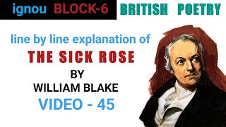 THE SICK ROSE by William Blake  LINE BY LINE EXPLANATION [upl. by Nagoh479]