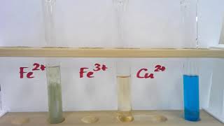 Identifying transition metal ions in solution [upl. by Brittany]