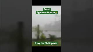 typhoon odette strikes Bohol Philippines😢 [upl. by Anahsak]