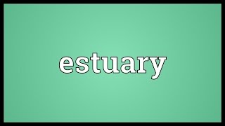 Estuary Meaning [upl. by Suoiradal863]