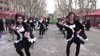 La Bande a Béziers  Carnaval Occitan de Béziers 2013 [upl. by Koralie315]