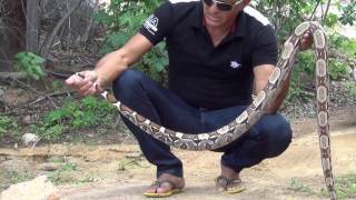 TRISTE VIDEO DO REI DAS SERPENTES [upl. by Ingvar]