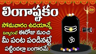 లింగాష్టకం సోమవారం నాడు విన్నారంటే మీ ఇల్లు సిరిసంపదలు అష్ట ఐశ్వర్యలకి నిలయం అవుతుంది  Lingastakam [upl. by Dunning]