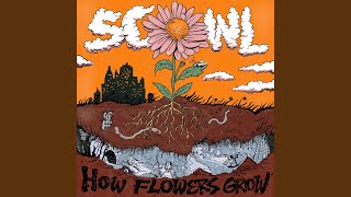 How Flowers Grow [upl. by Cartwright343]