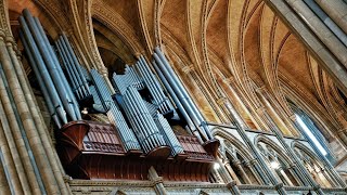 Organ Recital Jan Liebermann [upl. by Nelo]