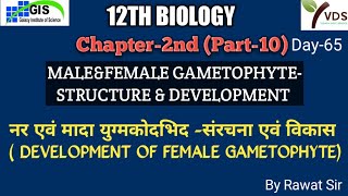 12TH BIOLOGY Chapter2nd  MALEampFEMALE GAMETOPHYTE STRUCTURE amp DEVELOPMENT  PART8 RBSE NCERT [upl. by Nnyltak]