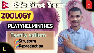 L1 Structure amp Reproduction of Taenia solium ● PLATYHELMINTHES ● ZOOLOGY ● BSc First Year ●TU [upl. by Keyek]