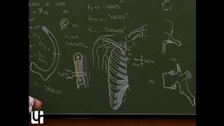 Thorax 1  Anatomie de la cage thoracique Ribthoracic cage [upl. by Loos845]