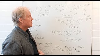 Warum zwei Methoden für die Iodierungen zum Thyroxin  Chemie der Arzneistoffe 8 [upl. by Scoles]