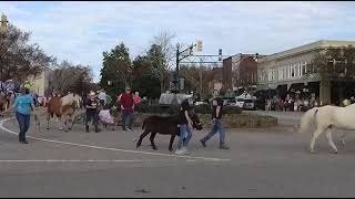 Hoofbeats and Christmas carols parade Aiken South Carolina 2021 [upl. by Dorothea423]