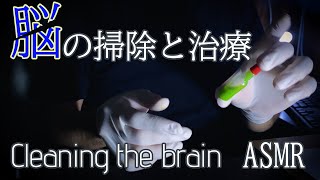 【 ASMR 】脳の掃除と治療。 日本語 ロールプレイ  Cleaning the brain Roleplay  Japanese ASMR [upl. by Evy]