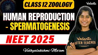 Class 12 Zoology  Human Reproduction  Spermatogenesis  NEET 2025  Vedantu NEET Tamil [upl. by Elem]