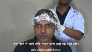 Vegetal Bio Colour Application Video Hindi [upl. by Nahtannhoj600]