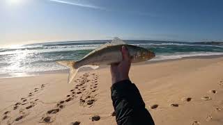 Far South Coast Beach Fishing [upl. by Canada]