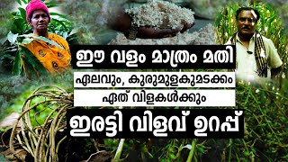 15 ദിവസത്തിൽ റിസൽറ്റ് വേറേത് വളത്തിന് അത് സാധിക്കും അനുഭവസ്ഥർ പറയുന്നു I Economical bio fertilizer [upl. by Daus]