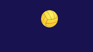 Animation of Volleyball bounce [upl. by Sedecrem]